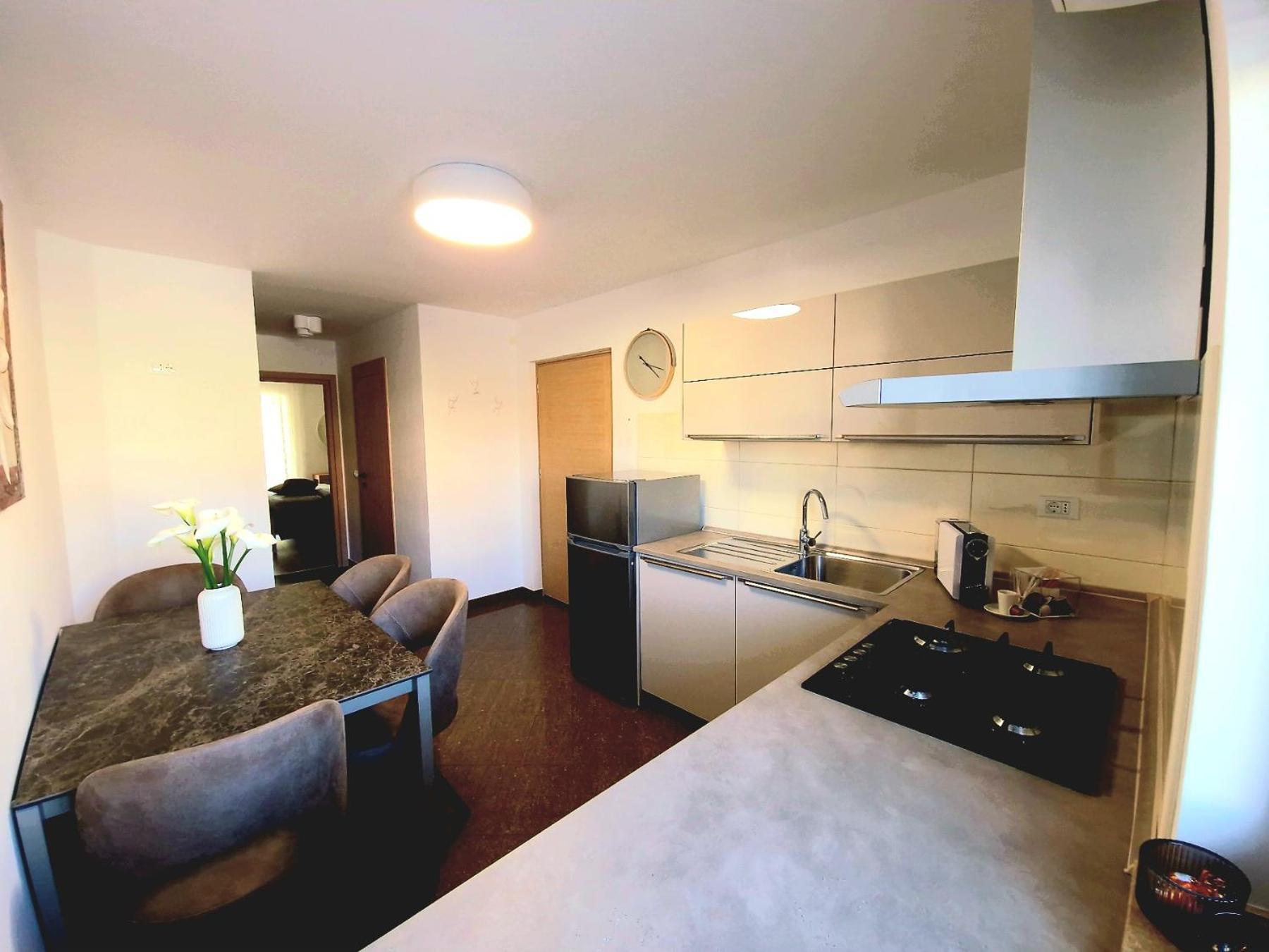 Apartments Cerin-ロヴィニ 部屋 写真